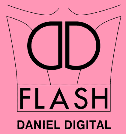 DD-Flash Logo